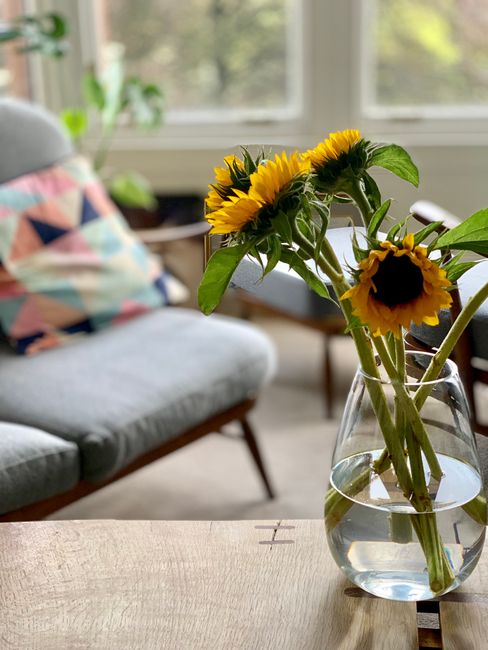 A clear glass vase filled with fresh sunflower stems, featuring vibrant yellow petals and dark centers, placed on a wooden table in a bright room. The sunflowers display lush green leaves and sturdy s